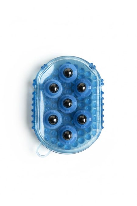 Amiko Magnet Curry Comb, Blue