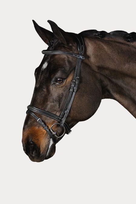 Ps of Sweden, Bridle Stockholm, Black