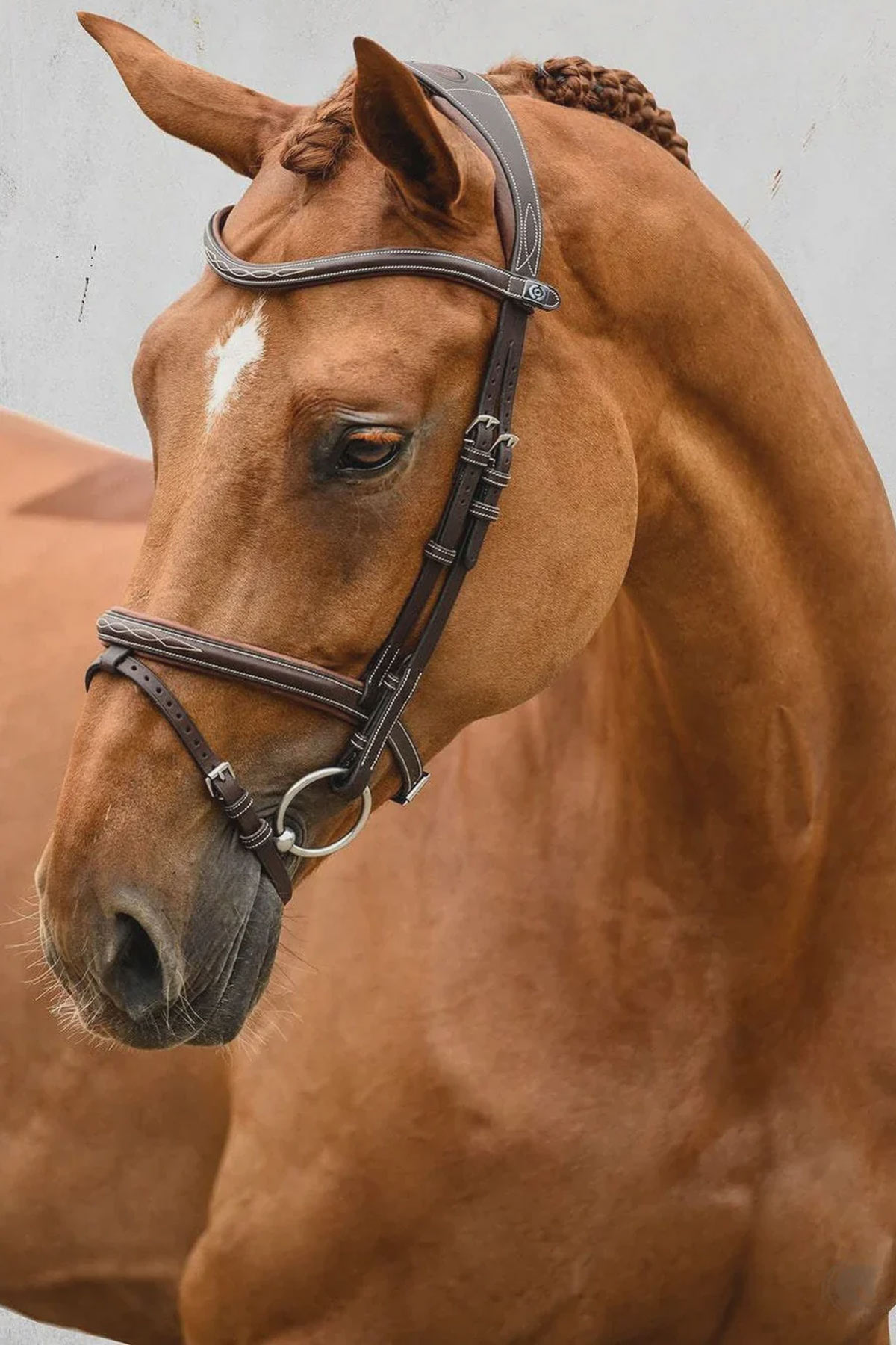 Ps of Sweden, Bridle Stockholm, Brown