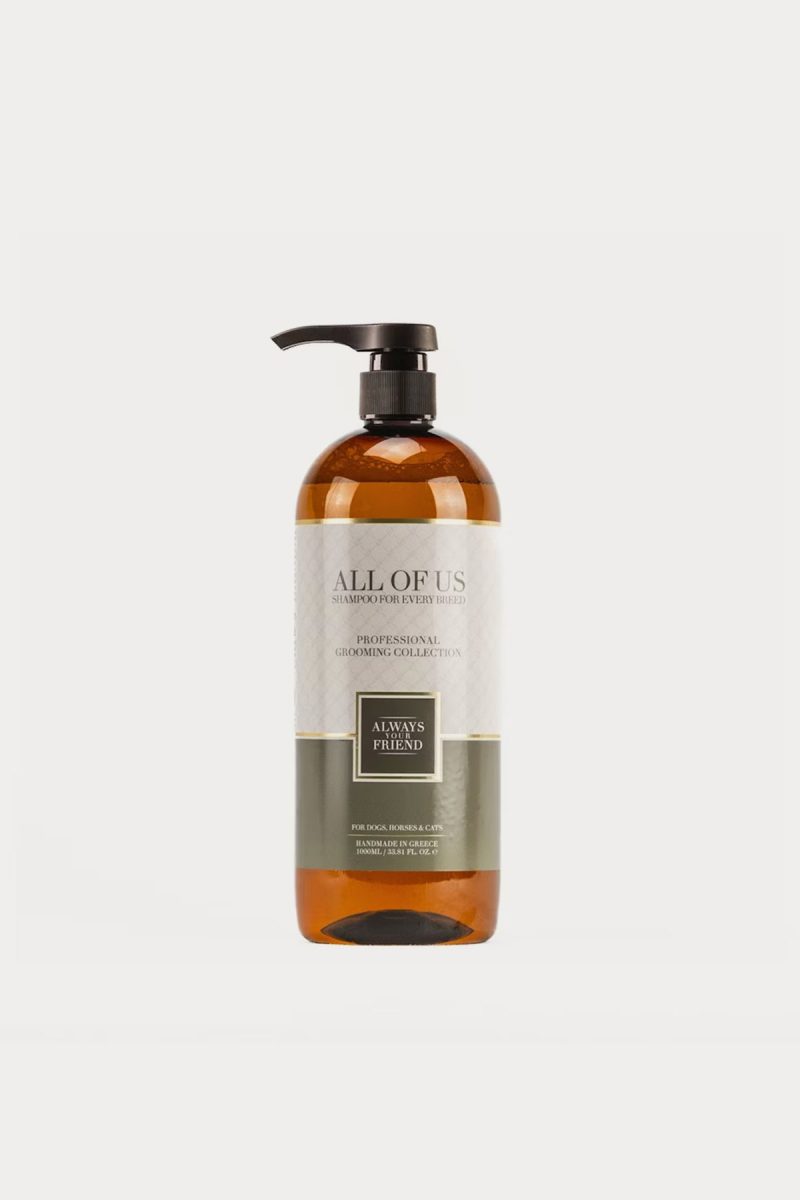 Altijd je vriend, wij allemaal Shampoo