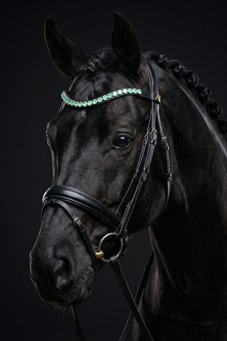 Amiko Browband Crystal Mint Green Bent, Black