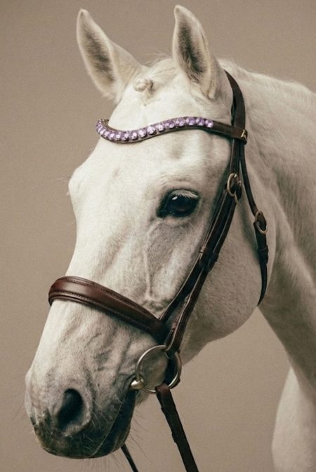 Amiko Browband Crystal Lavender Bent, Havana Brown