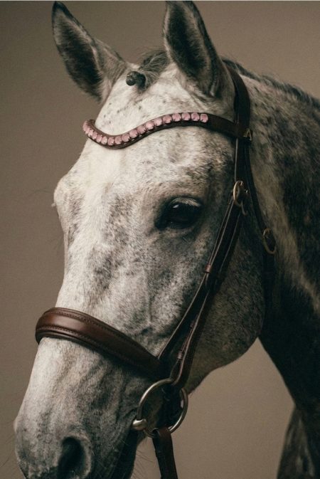Amiko Browband Crystal Candy Bent, Havana Brown
